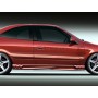Citroen Xsara Custom Side Skirts
