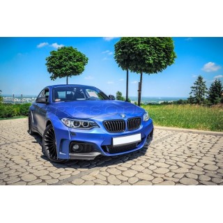 BMW F22 2 Series M SPORT (2014-) Custom Wide Body Kit