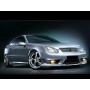 Mercedes C W203 Coupe Custom Side Skirts