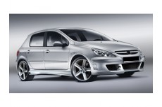 Peugeot 307 Custom Side Skirts