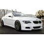 BMW E63 / E64 6 Series Custom Front Bumper